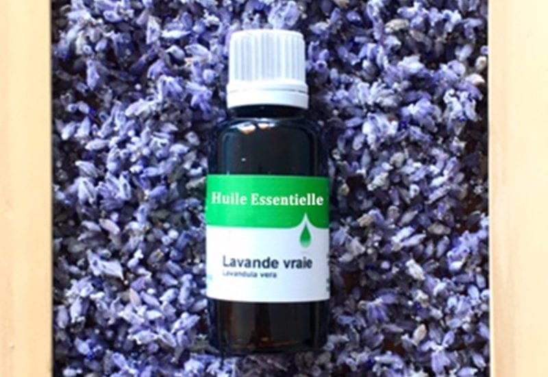 Huile essentielle lavande vraie : aromathérapie