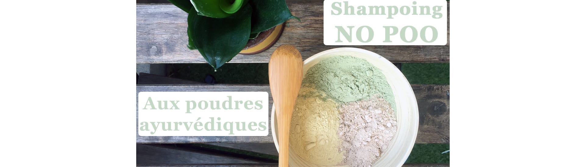 Shampoing no poo aux poudres ayurvédiques