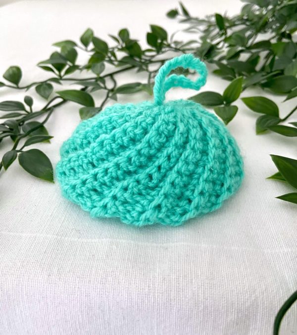 Tawashi boule turquoise