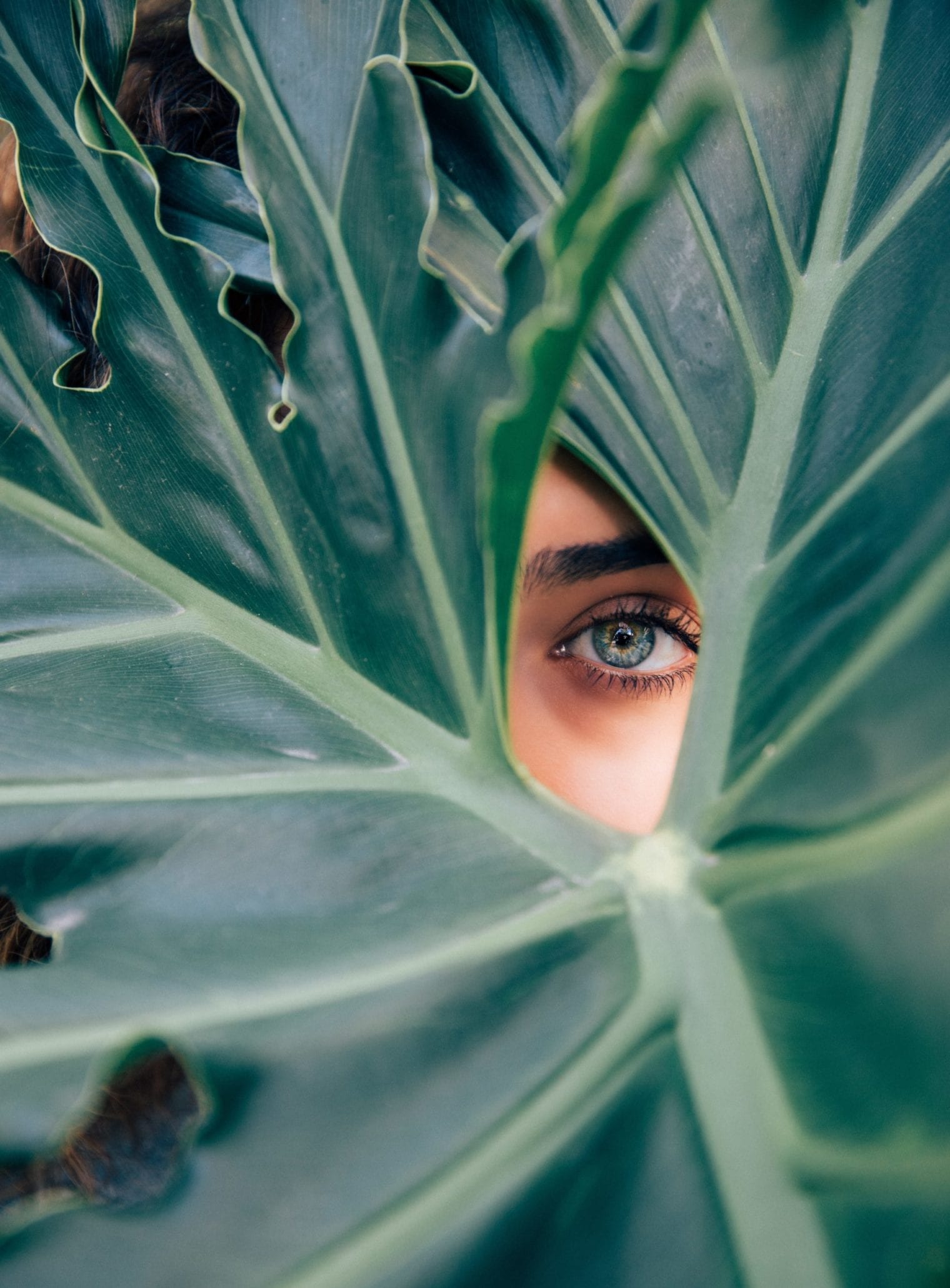 Catégorie soin du visage