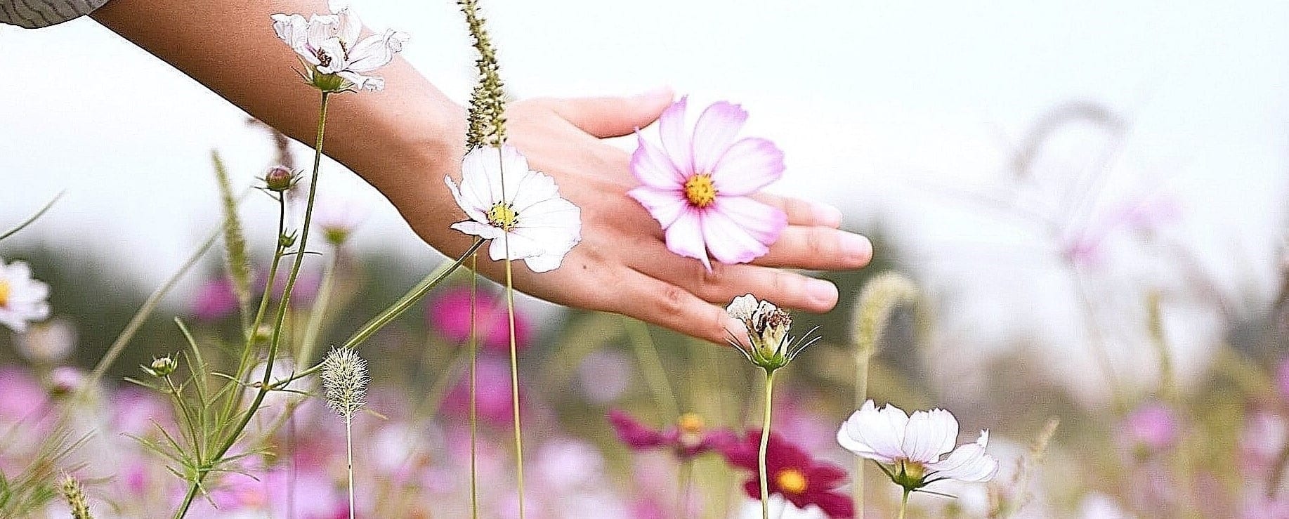 Catégorie mains & pieds