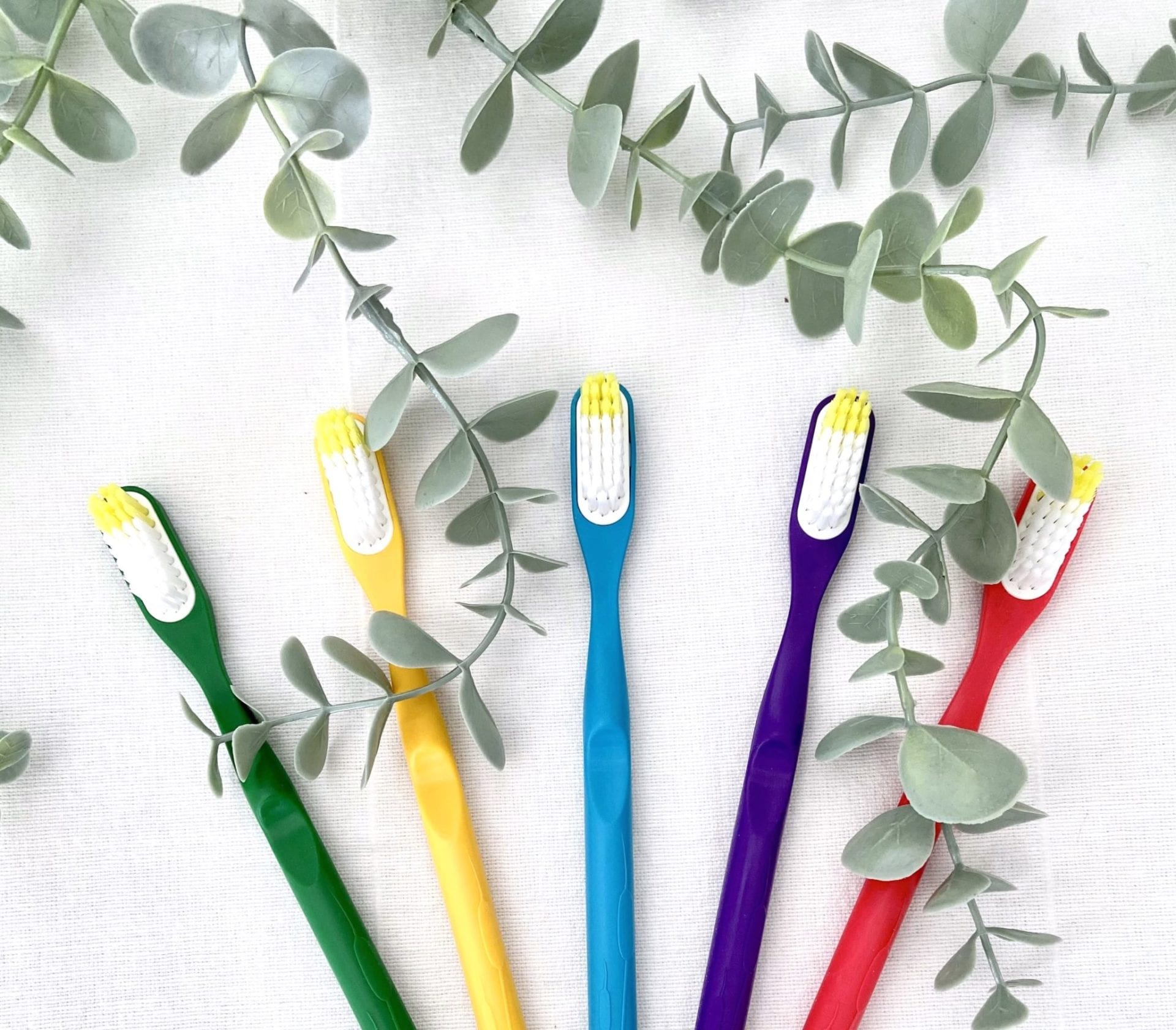 catégorie Brosse à dents recyclable